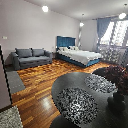 Central Sweet Apartment Self Check-In Timisoara Esterno foto